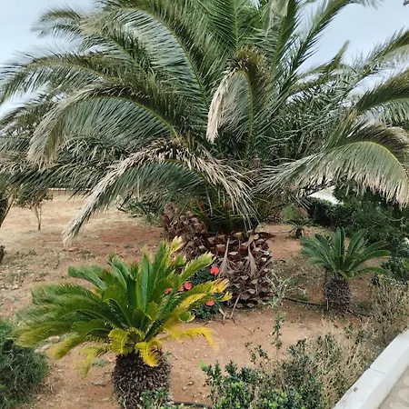 With 1 Bedroom In The Wonderful Place - Amare Apartment *